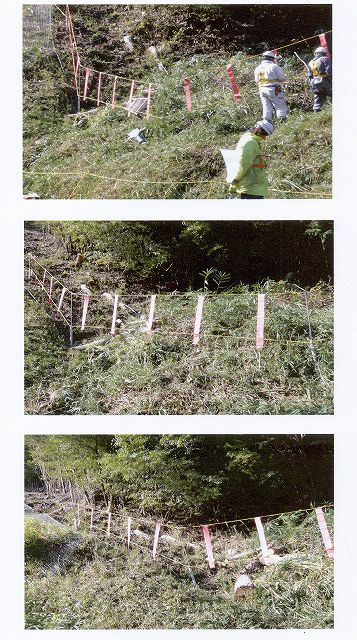 鹿対策設置例1